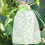 100pcs Fruit Protection Bags with Drawstring 17x23cm 5