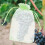 100pcs Fruit Protection Bags with Drawstring 17x23cm 4