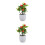 2Pcs Realistic Artificial Potted Fruit Tree For Home Office Decor 8