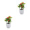 2Pcs Realistic Artificial Potted Fruit Tree For Home Office Decor 9