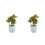 2Pcs Realistic Artificial Potted Fruit Tree For Home Office Decor 5