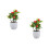 2Pcs Realistic Artificial Potted Fruit Tree For Home Office Decor 7