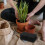 50pcs square flower pot mesh pads for drainage and 4