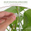 16pcs clear acrylic plant stakes for climbing vines support 7