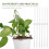 16pcs clear acrylic plant stakes for climbing vines support 9
