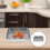 Stainless steel baking tray with rack, practical silver dish set 10