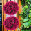 simulated eucalyptus topiary ball decorative plant 10