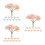 36 arbres miniatures fleurs pour paysage bricolage 5