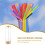 organizer in trasparente con per cannucce e 9