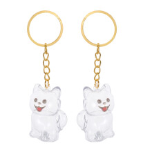 2Pcs Transparent Dog Hair Keepsake Keychain Compact Pet Memorial Box