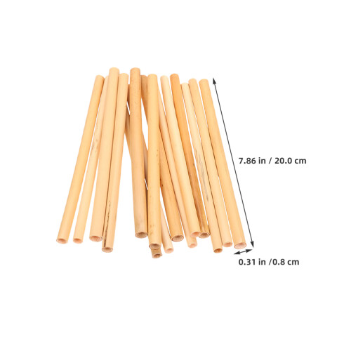 100 20 cm per api solitarie, nidi, 2