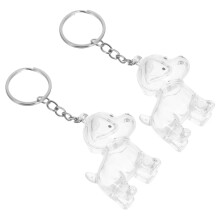 2pcs diy pet hair keepsake keychain for cat and dog lovers