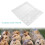 50pcs 18-grid quail egg carton pvc transparent storage container 9