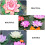6 pcs simulation lotus decoration for pond or dance props 10