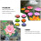6 pcs simulation lotus decoration for pond or dance props 8