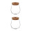 2Pcs Creative Clear Glass Propagation Vases Home Desktop Hydroponic 5