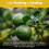 Premium Citrus Compost Worm Cast Potting Soil 8L 3