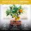 Premium Citrus Compost Worm Cast Potting Soil 8L 7