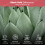 8L Cacti & Succulent Potting Mix Soil Compost 5