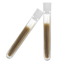 2 frascos de bigodes de 0,2 mm para feltragem