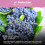 8L John Innes Ericaceous Compost Multipurpose Mix 4