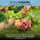 8L Potting-On Compost John Innes No 2 & Worm Casts 7
