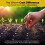 8L John Innes Seed Compost, Worm Castings Enhanced 2