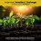 8L John Innes Seed Compost, Worm Castings Enhanced 5