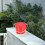 3pcs plastic buckets with handles for garden, storage, cleaning 4