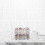 120pcs clear plastic 12-grid quail egg cartons for small egg storage bulk 6