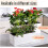 Planter Box for Indoor Plants 3 Pack 14 Inch White Rectangular Self Watering Window Box with Drainage 3