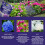 Vitax Hydrangea Feed 1Kg Granular Fertiliser Pack of 2 10