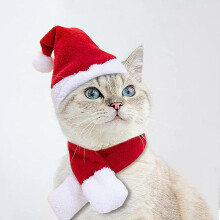 Pet Costume for Holiday St Patricks Birthday Cat Dog Halloween Christmas Hat Outfit- Xmas Set