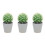 3 pcs artificial cactus bonsai potted plants decoration 5