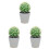 3 pcs artificial cactus bonsai potted plants decoration 3