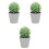 3 pcs artificial cactus bonsai potted plants decoration 4