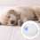 USB Cat Litter Deodorizer Unscented Type 1 USB-Powered For Bathroom And Shoe Box Odor Control 2