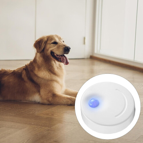 USB Cat Litter Deodorizer Unscented Type 1 USB-Powered For Bathroom And Shoe Box Odor Control 2