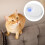 USB Cat Litter Deodorizer Unscented Type 1 USB-Powered For Bathroom And Shoe Box Odor Control 5
