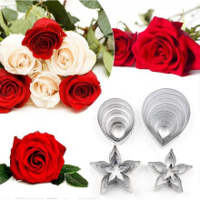 21Pcs Cake Cookie Cutters Pastry Mould Modelling Baking Tool  Flower & the Easiest Rose Ever Cutter Cake Fondant