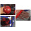 Basketball Hoop for Kids,Wall Mounted with Net-Shooting frame 5