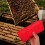 1Set Portable Queen Cage Box in Assorted Colors for Beekeeping Use 4