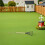 5 pcs garden hand rake for weeding, , aerating soil 5