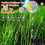 Set of 2 36 LED solar garden lights 5