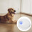 USB Cat Litter Deodorizer Unscented Type 1 Advanced Odor Control For Bathroom And Shoe Box 4