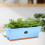 Flower Window Box Rectangular 50x19x16 Cm Vegetable Planter, Windowsill Planter With Drainage Holes, Blue 3