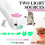 Interactive Laser Pointer ,Cat Toys for Indoor Cats Interactive,Rechargeable Cat Teaser Wand Toy 3