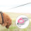 Einziehbare Hundeleine, Nylonband, 5