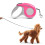 Einziehbare Hundeleine, Nylonband, 6