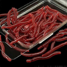 50 Pack Bass Fishing Worms, Soft Plastic Worms, Drop Shot Worms, Soft Plastic Lures, Bass Fishing Lures